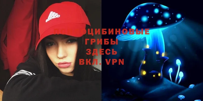 Галлюциногенные грибы Psilocybine cubensis  Верхняя Тура 